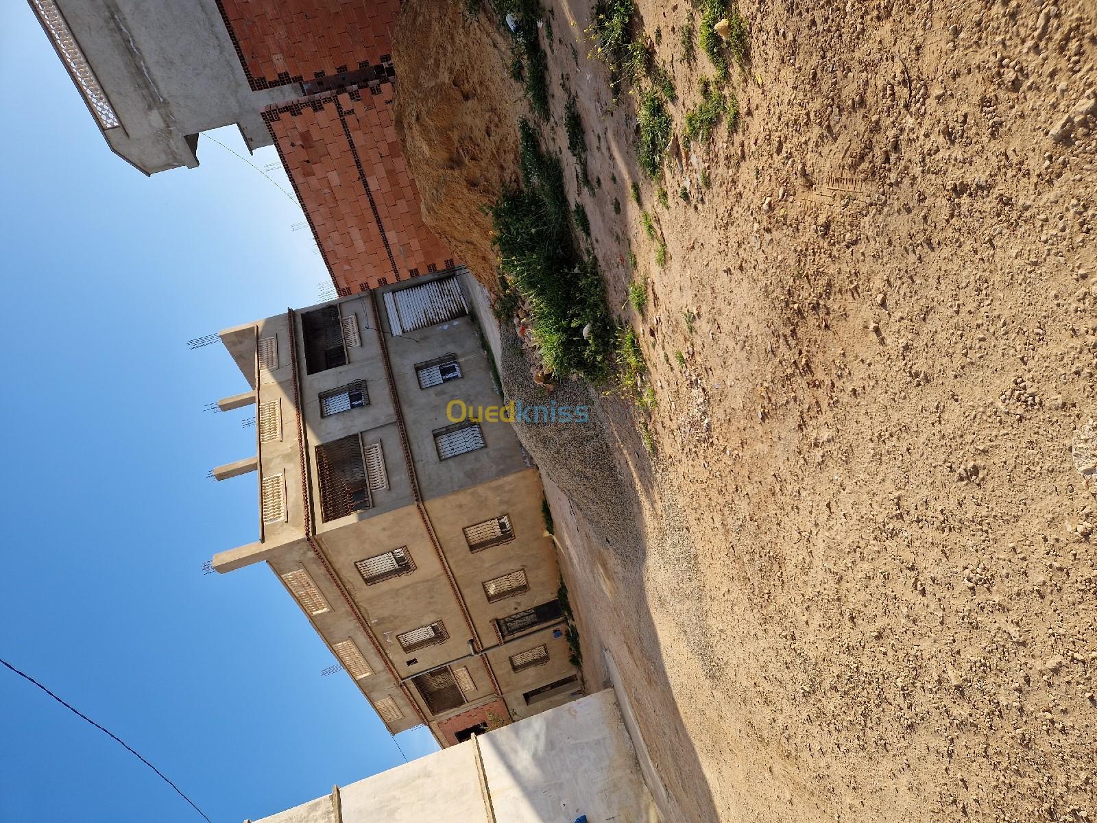 Vente Terrain Mostaganem Sayada