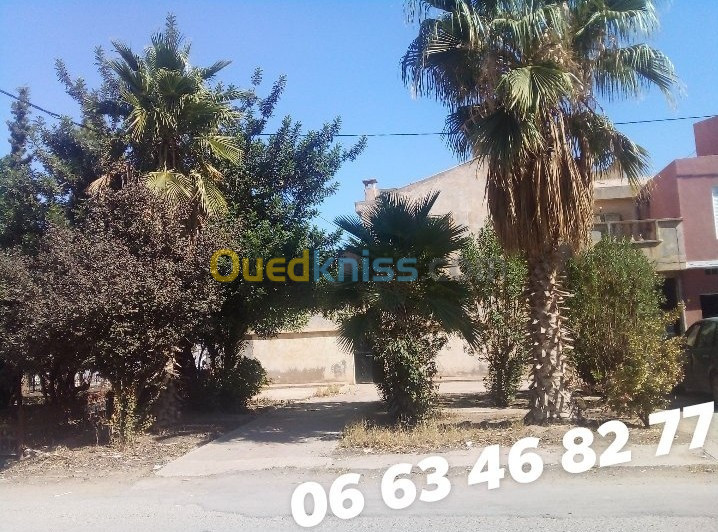 Vente Villa Sidi bel abbes Sidi bel abbes