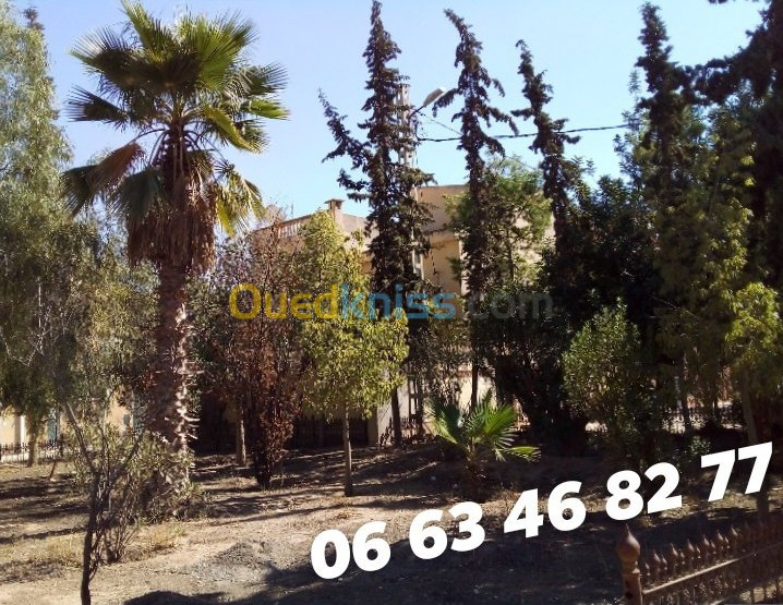 Vente Villa Sidi bel abbes Sidi bel abbes