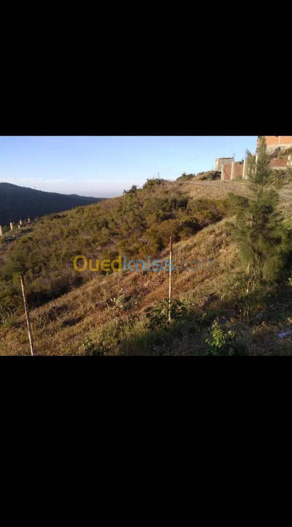 Vente Terrain Blida Djebara