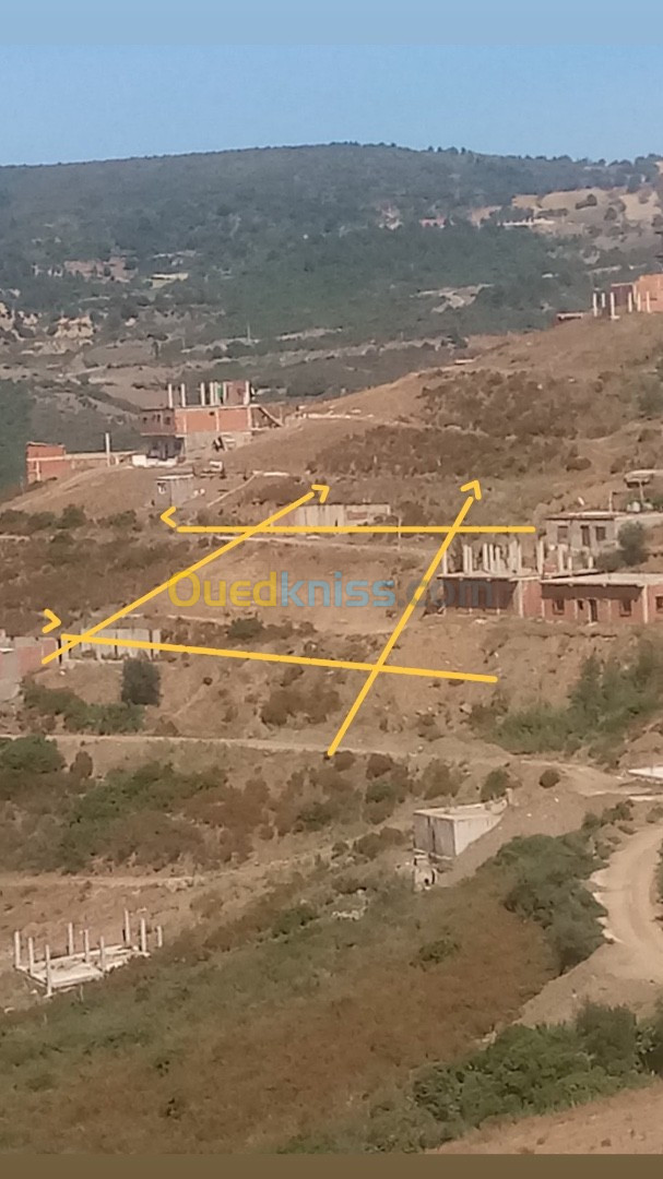 Vente Terrain Blida Djebara