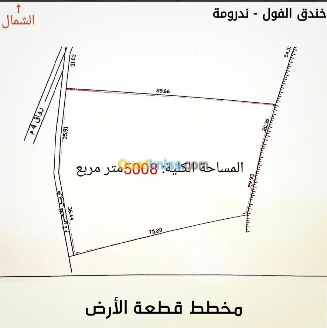 Vente Terrain Tlemcen Nedroma