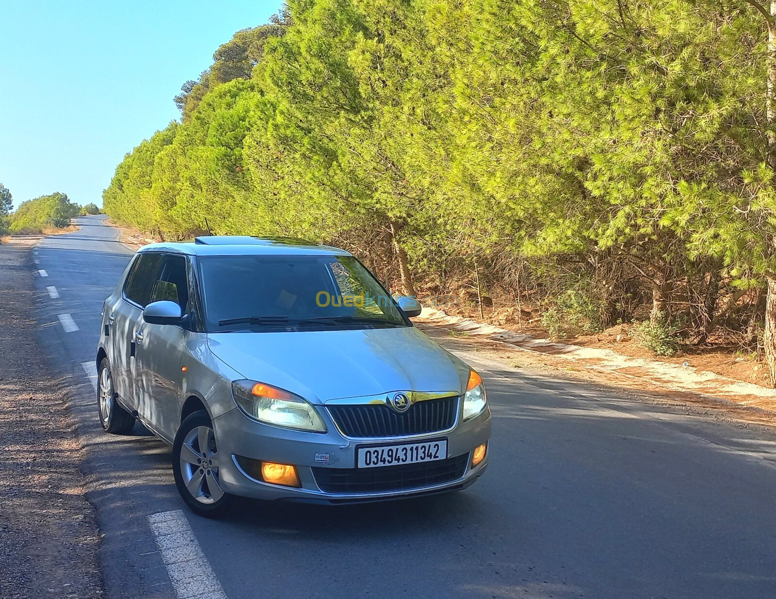 Skoda Fabia 2013 Fresh