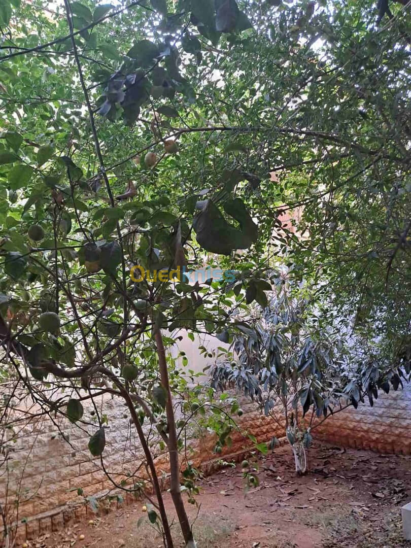 Location Niveau De Villa F4 Alger Kouba