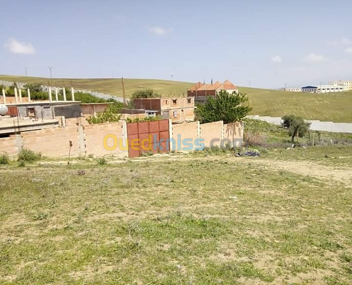 Vente Terrain Blida El affroun