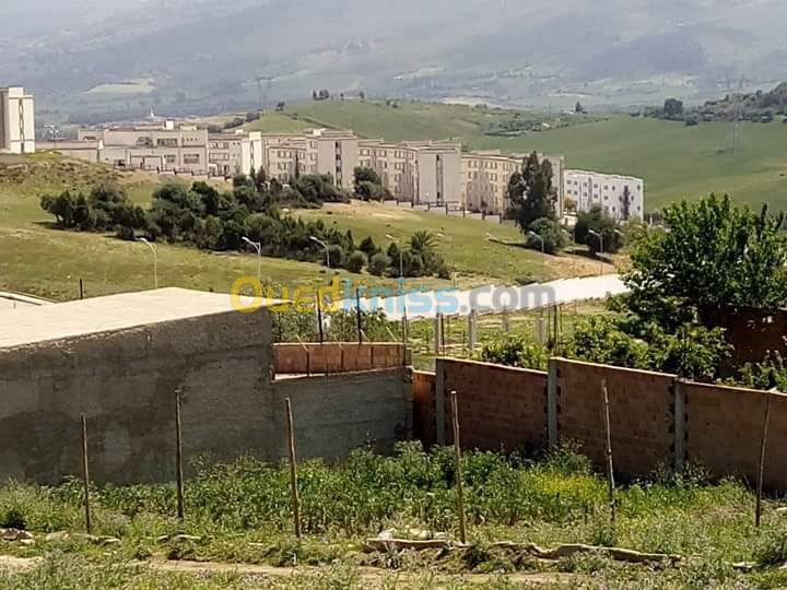 Vente Terrain Blida El affroun