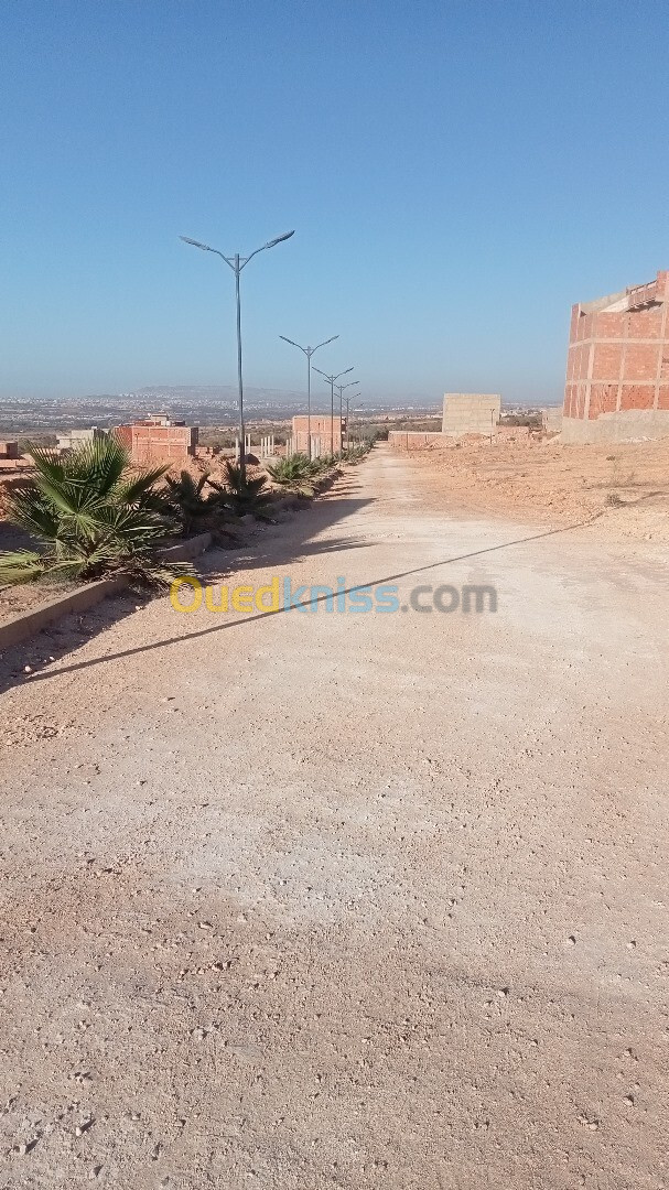 Vente Terrain Mostaganem Hassi maameche