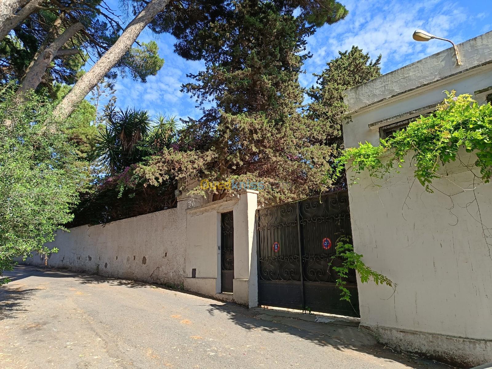 Vente Villa Alger Hydra