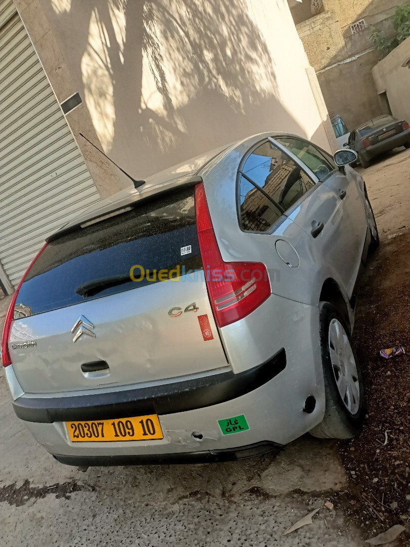 Citroen C4 2009 Vitamine