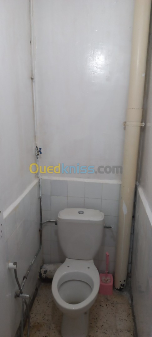 Location Appartement F3 Alger Birkhadem