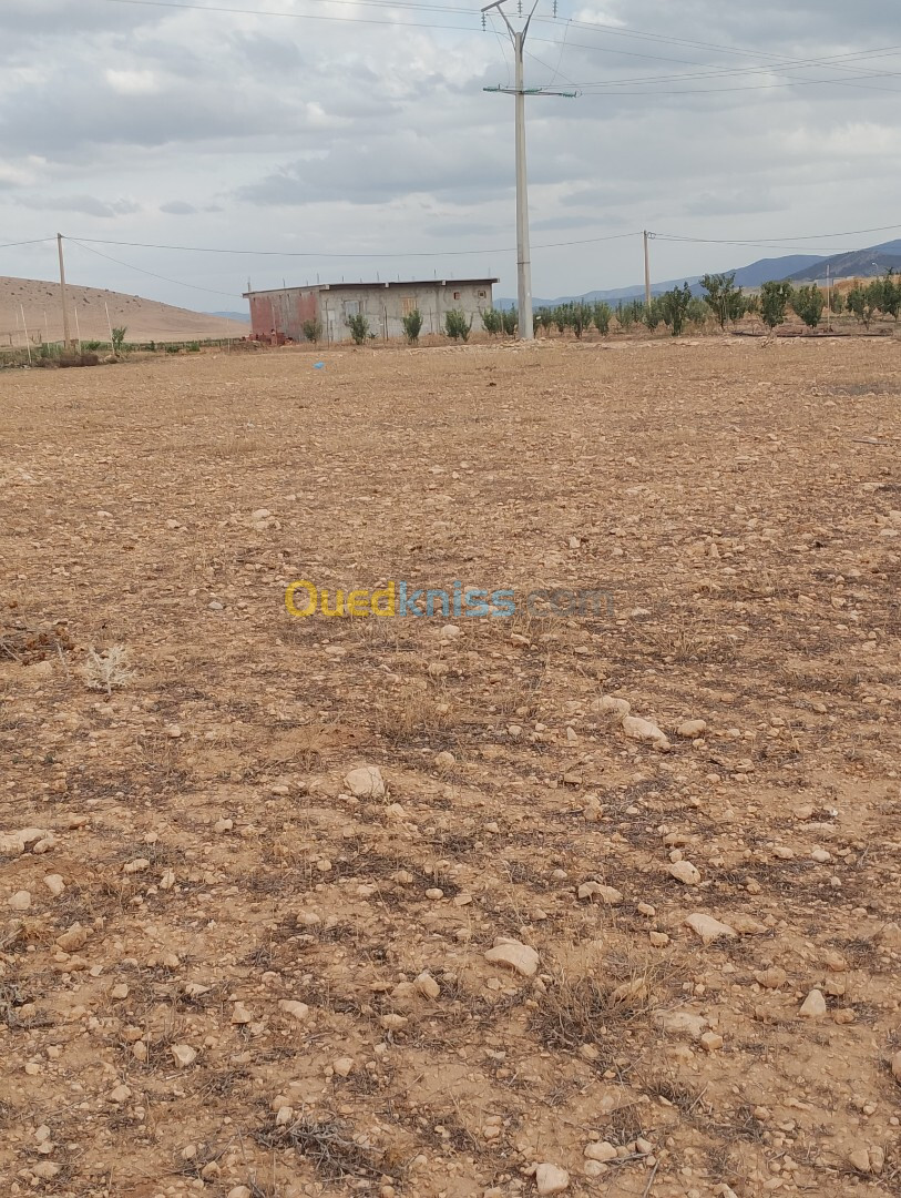 Vente bien immobilier Batna Zanat el beida