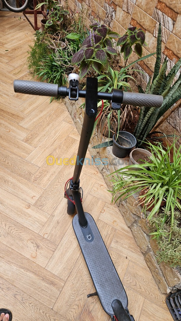 TROTTINETTE ÉLECTRIQUE M365