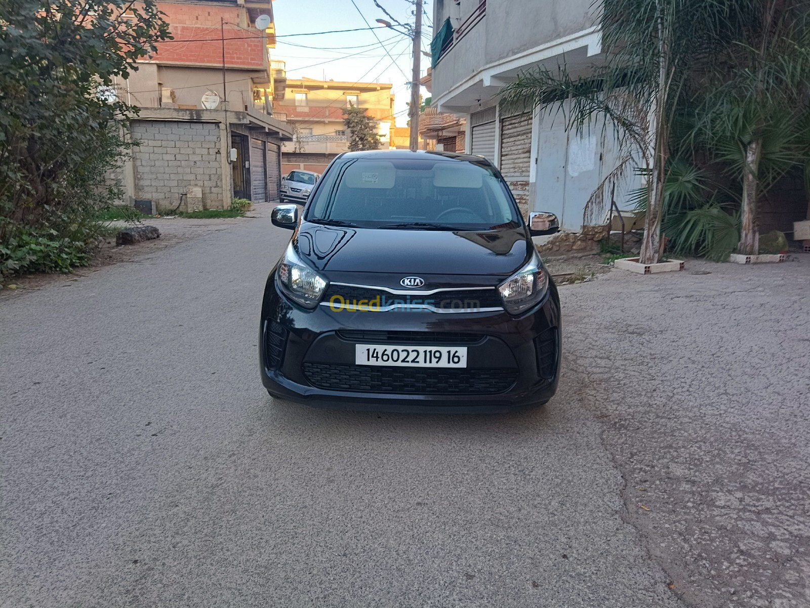 Kia Picanto 2019 LX Start