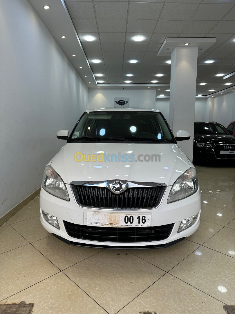 Skoda Fabia 2013 Fresh