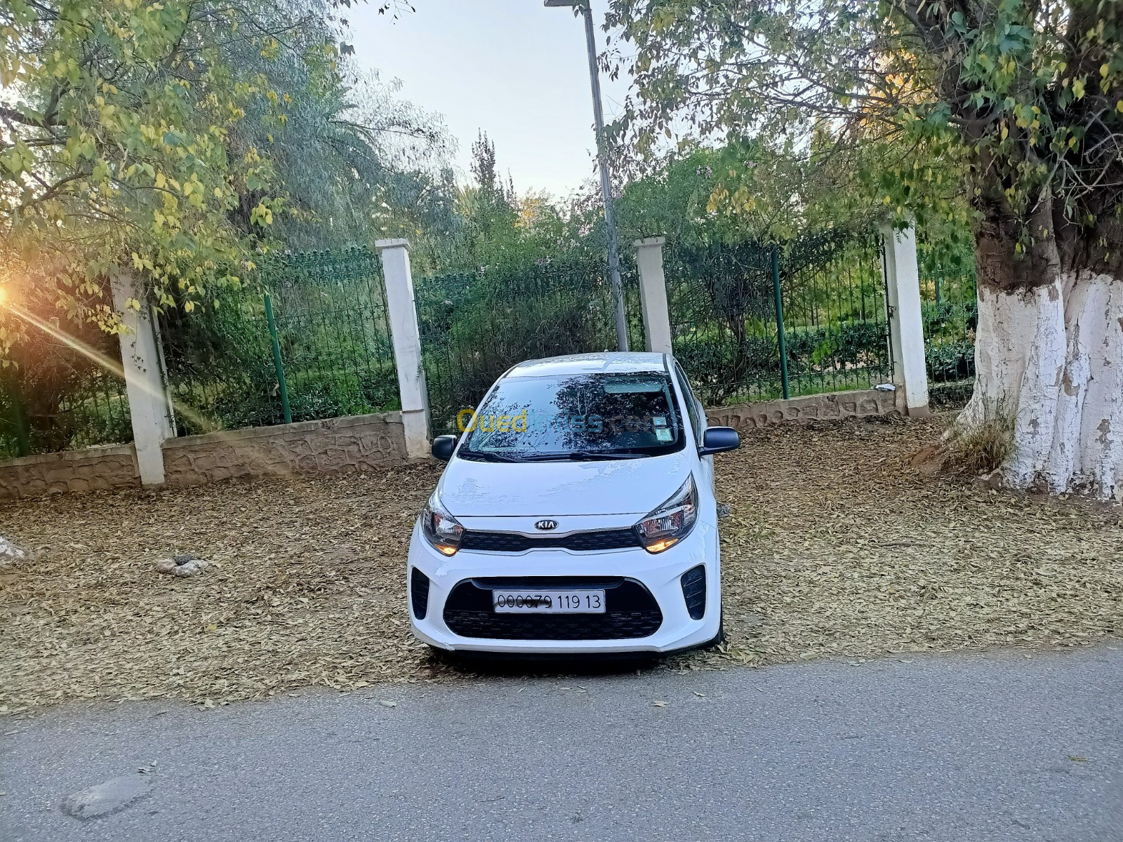 Kia Picanto 2019 