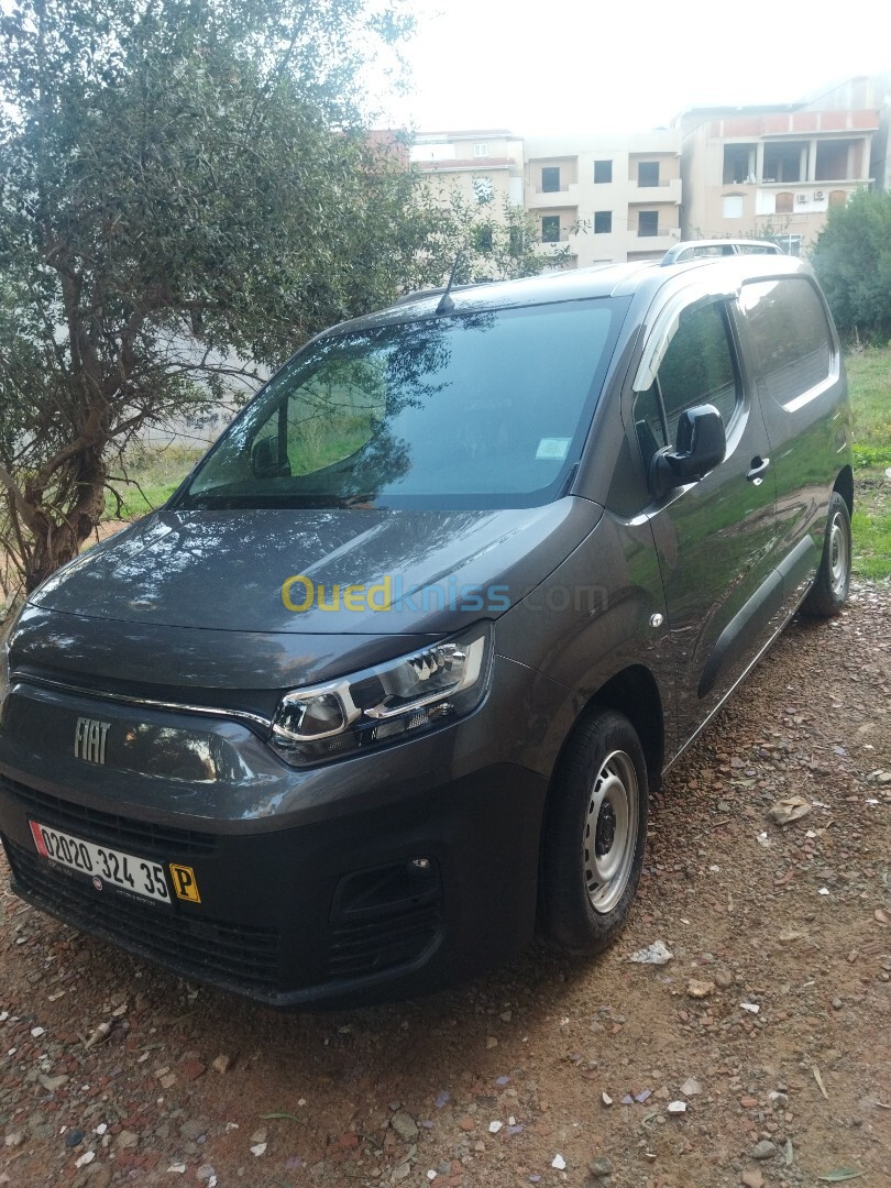 Fiat Doblo 2024 Professionnel