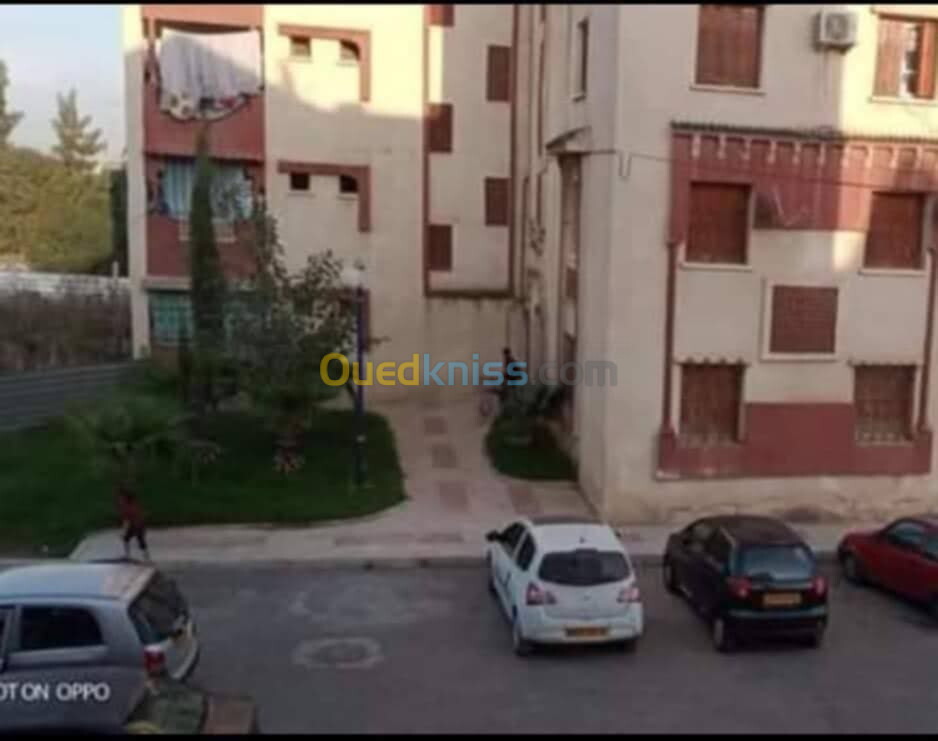 Location Appartement F3 Blida Boufarik