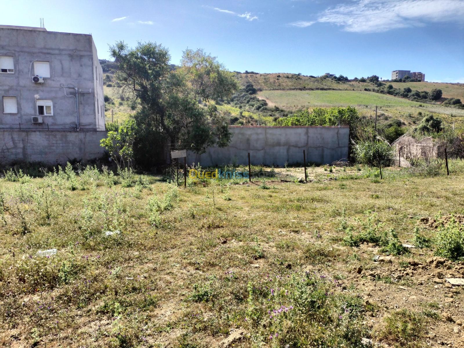 Vente Terrain Boumerdès Zemmouri