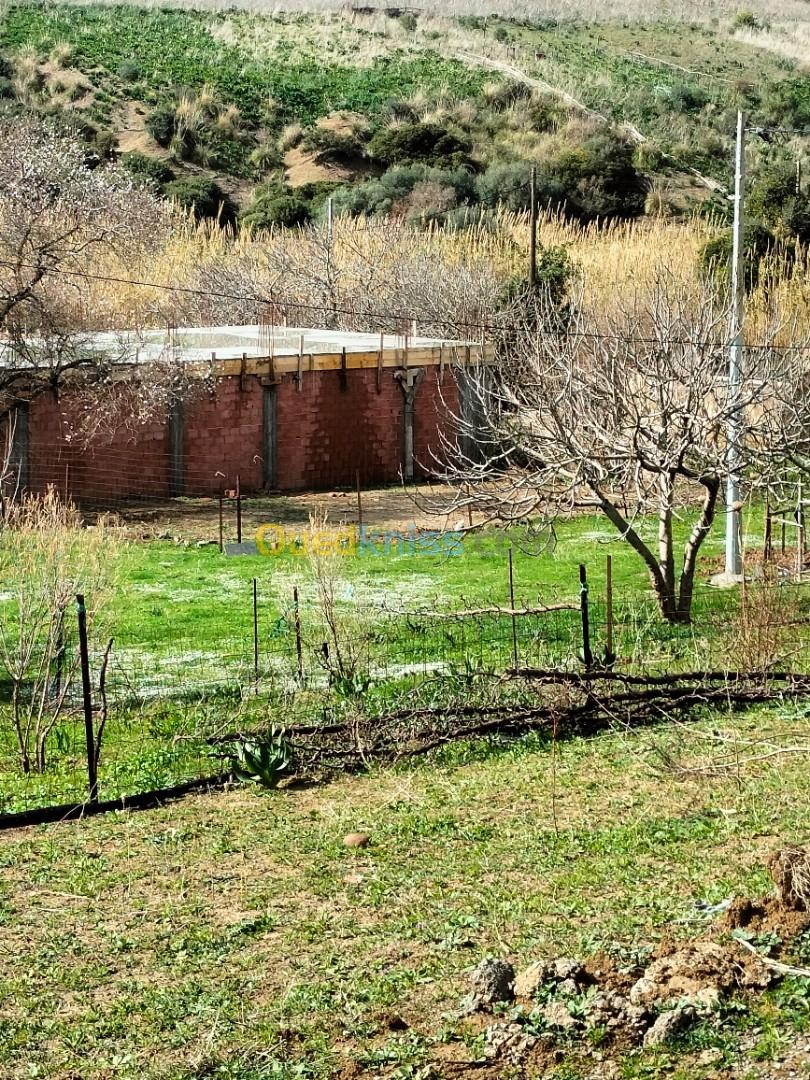 Vente Terrain Boumerdès Zemmouri