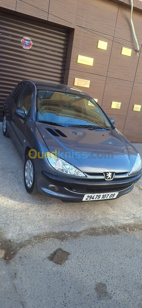 Peugeot 206 2007 206