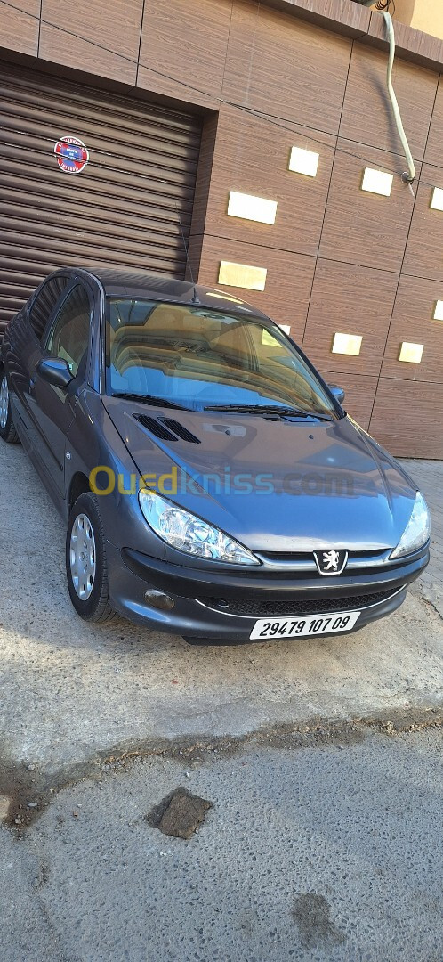 Peugeot 206 2007 206