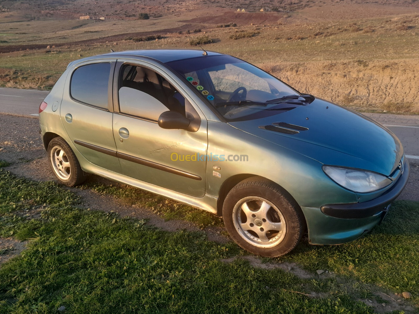 Peugeot 206 1999 206