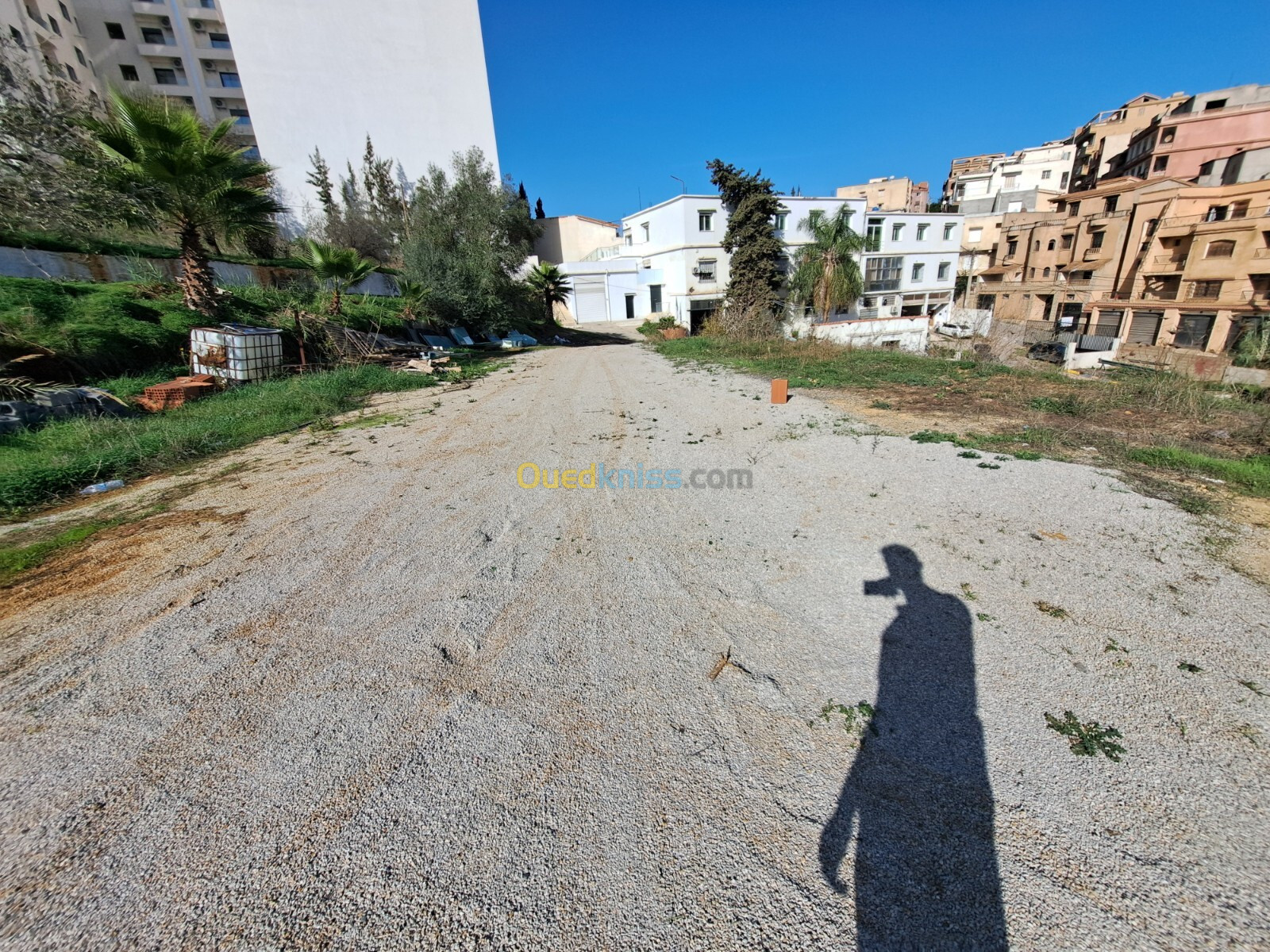 Location Terrain Alger Draria