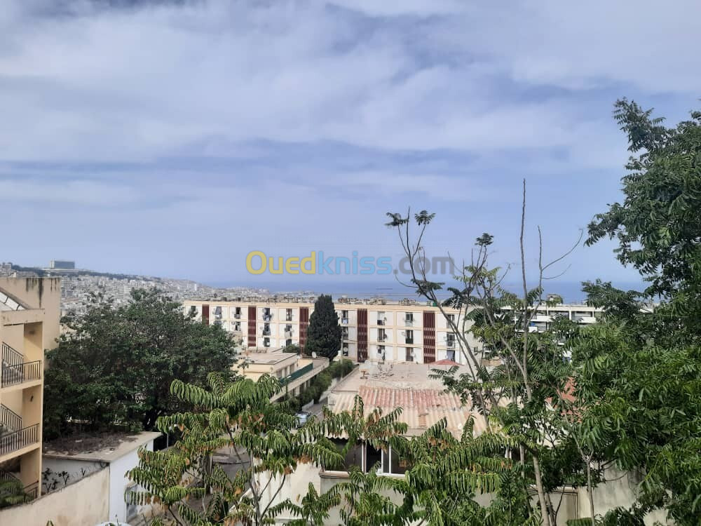 Vente Terrain Alger Sidi mhamed