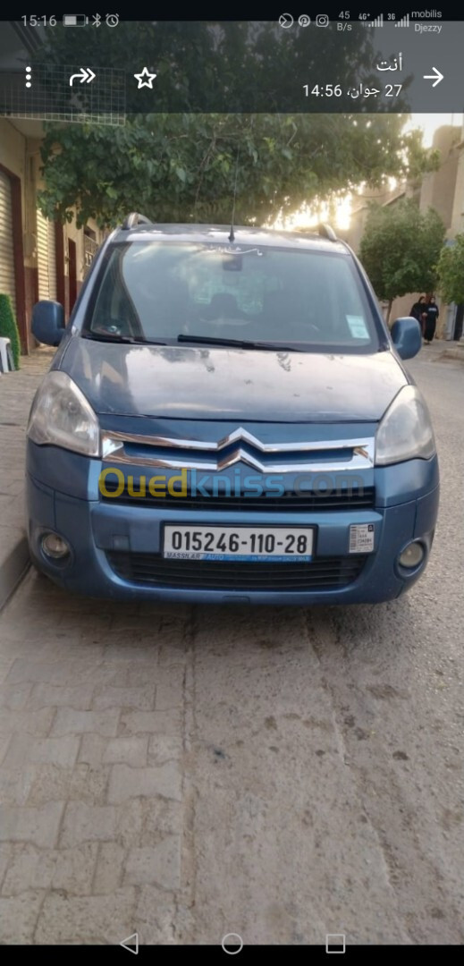 Citroen Berlingo 2010 Berlingoo