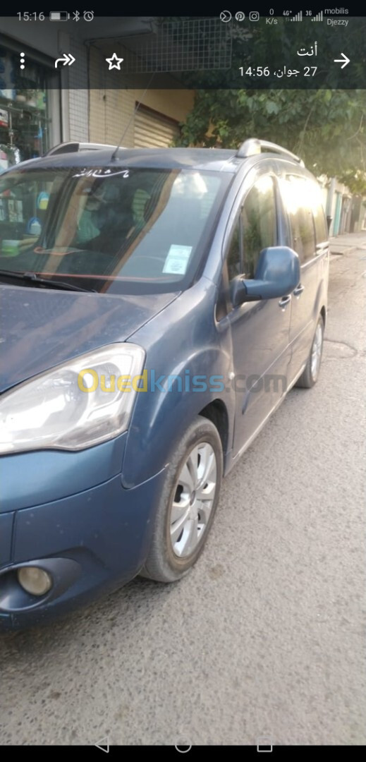 Citroen Berlingo 2010 Berlingoo