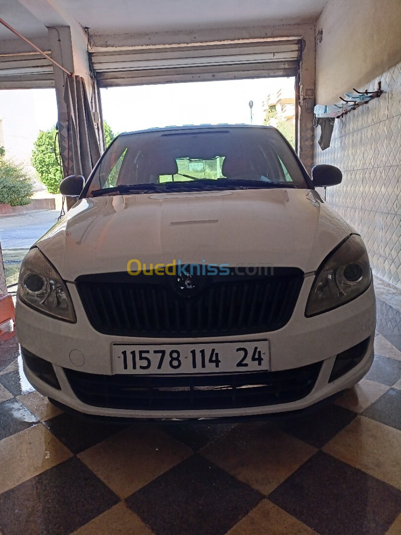 Skoda Fabia 2014 Visage