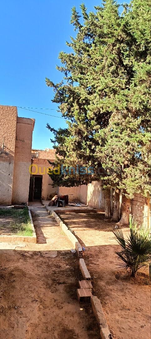 Vente Villa Djelfa Hassi bahbah