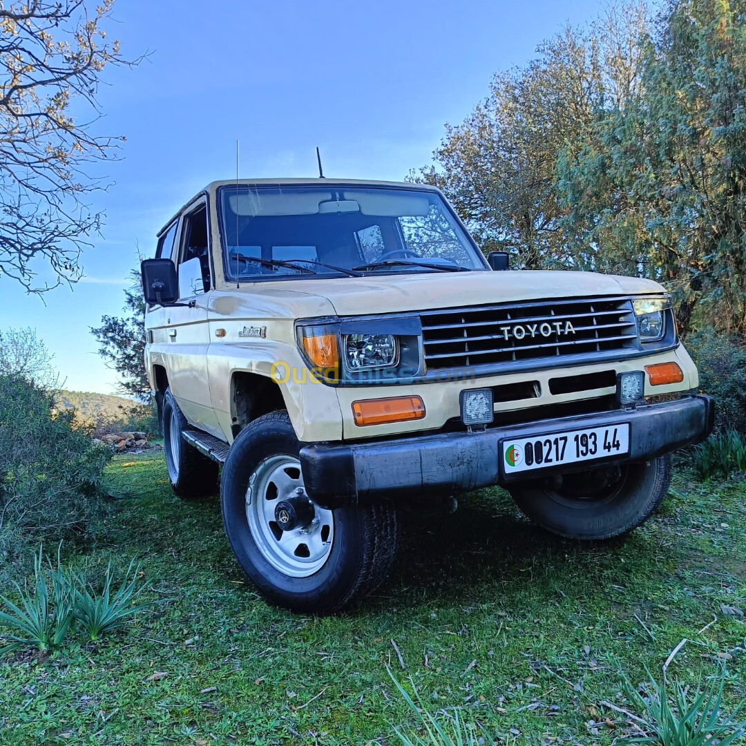 Toyota Land Cruiser 1993 Court