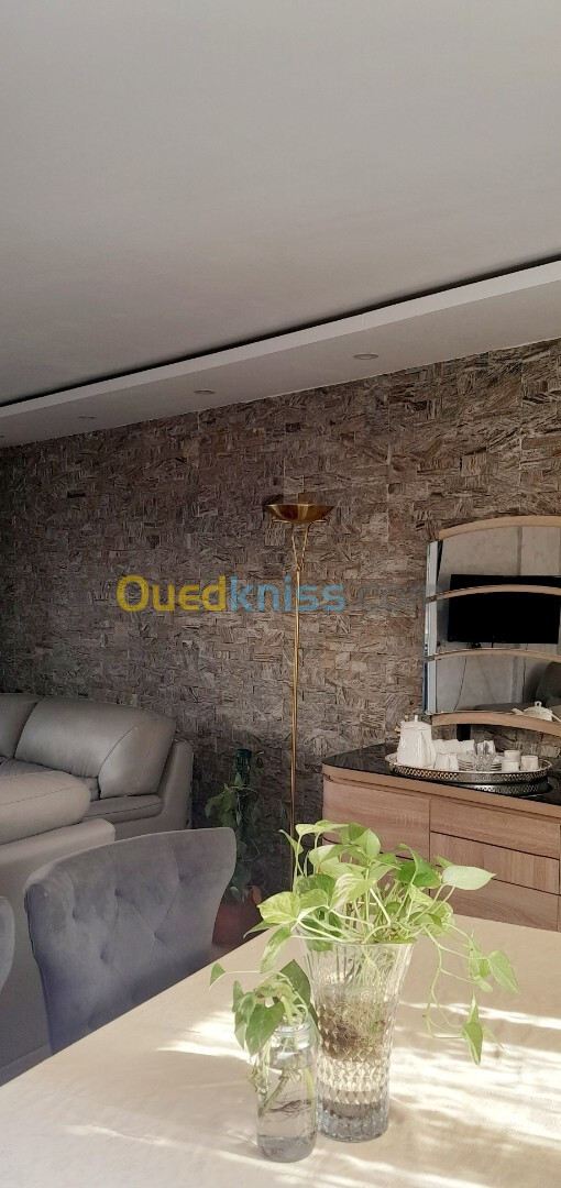 Vente Duplex F6 Alger Birkhadem