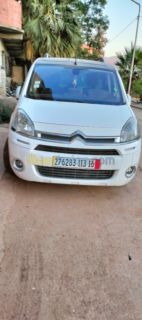 Citroen Berlingo 2013 Berlingo