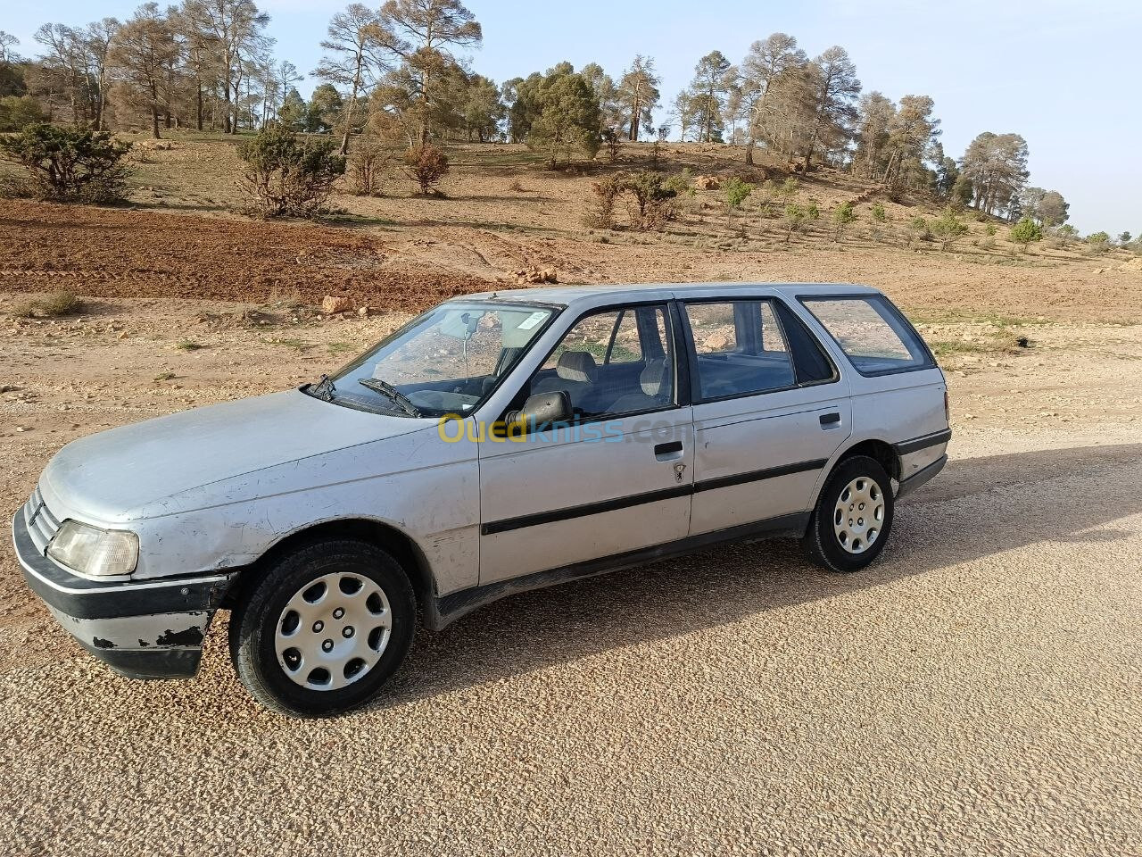 Peugeot 405 1989 405