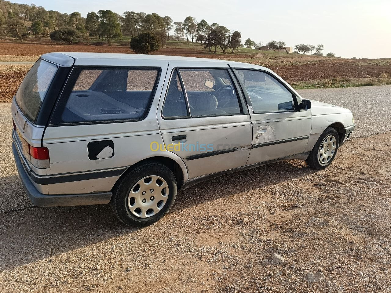 Peugeot 405 1989 405