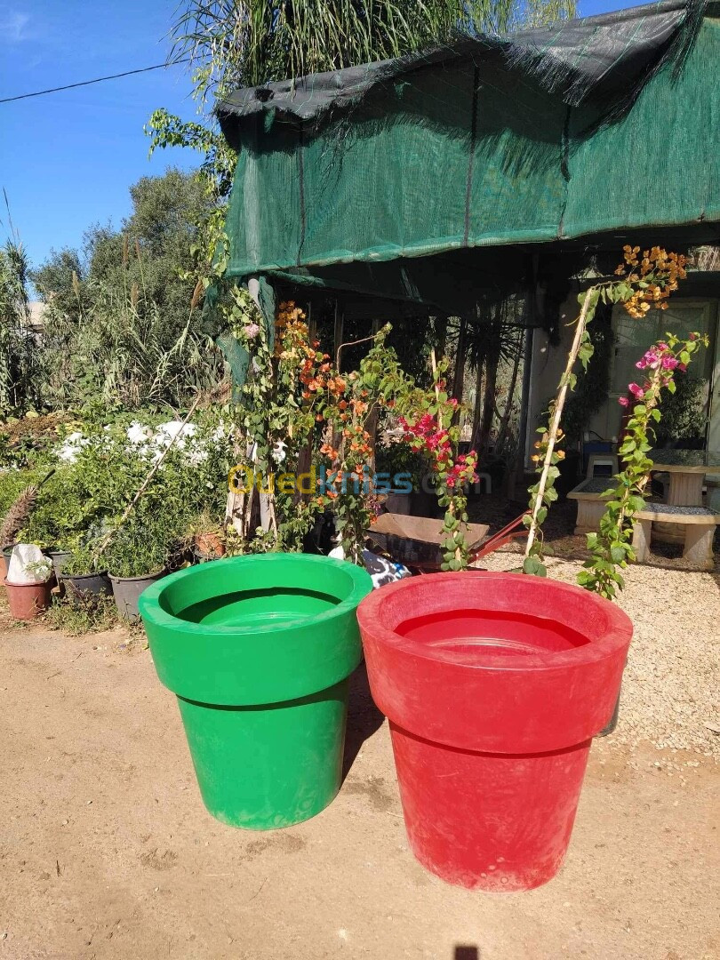 Pots et plantes pépinière magic plant 