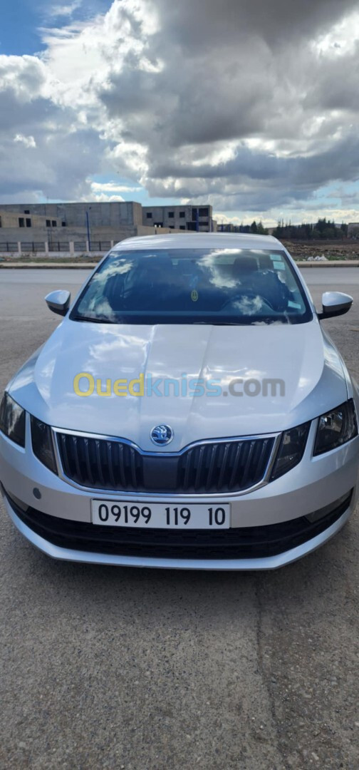 Skoda Octavia 2019 Octavia