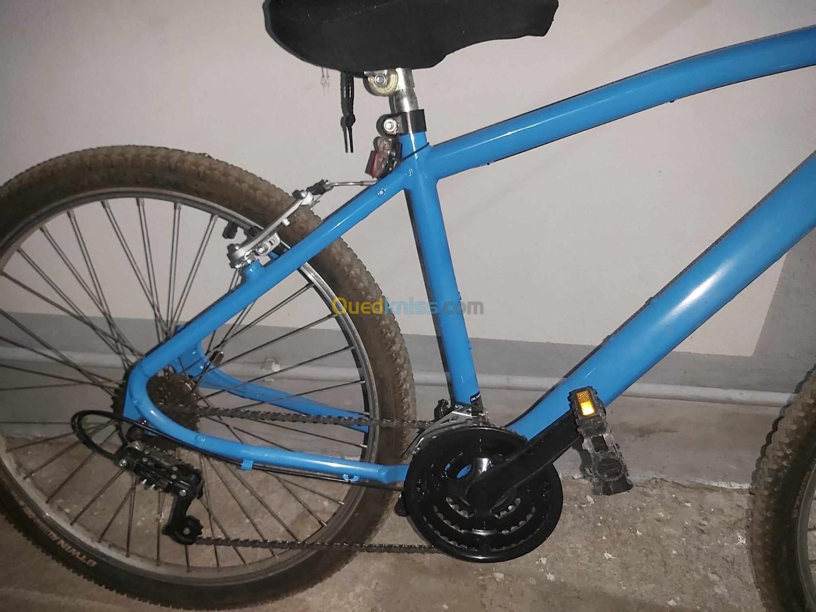 Vente vélo vtt