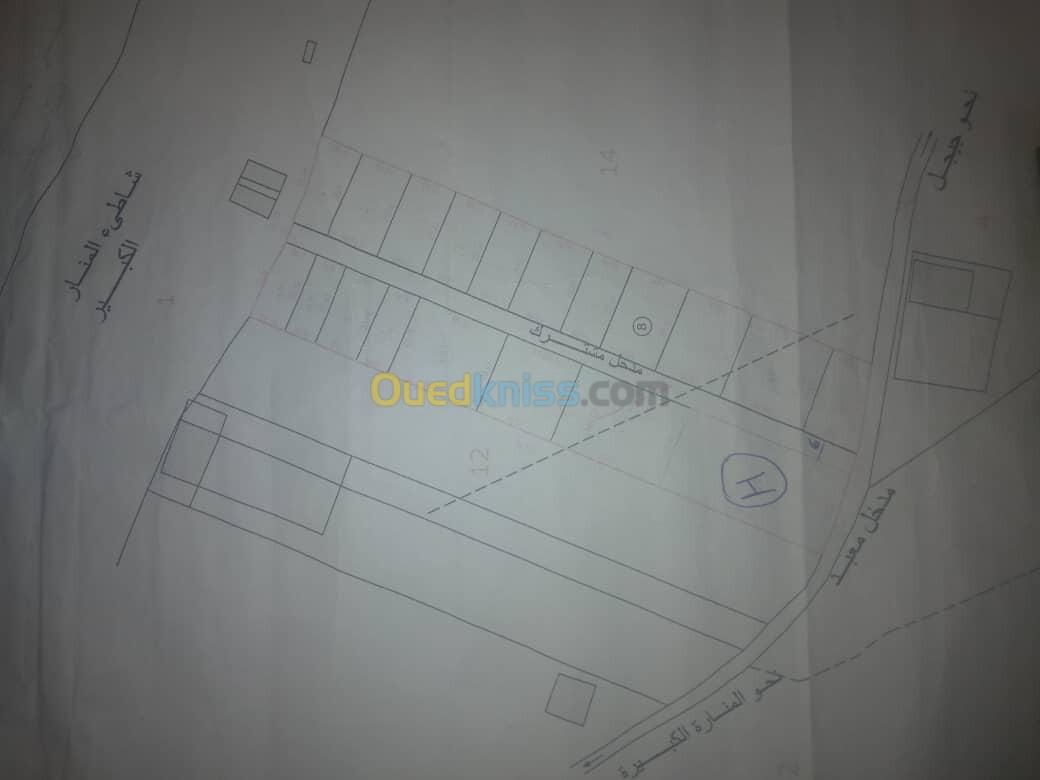 Vente Terrain Jijel Jijel