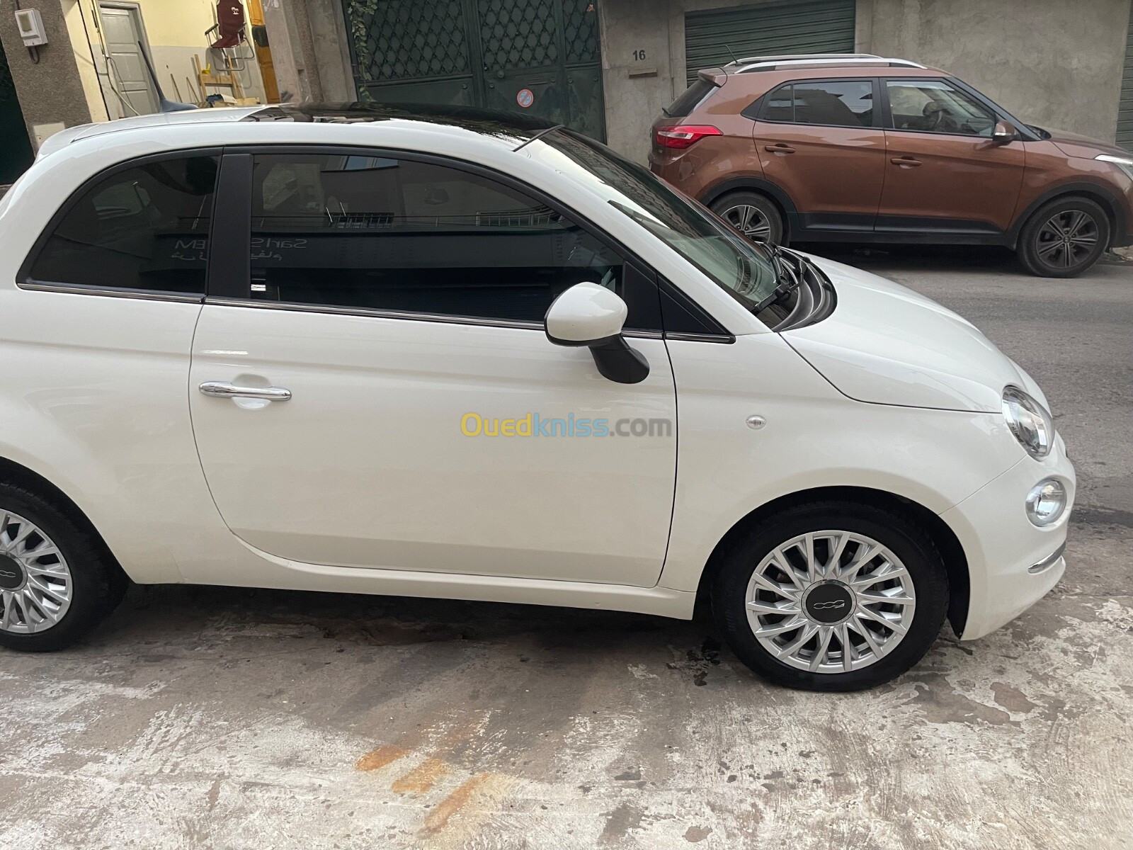 Fiat 500 club 2023 Club