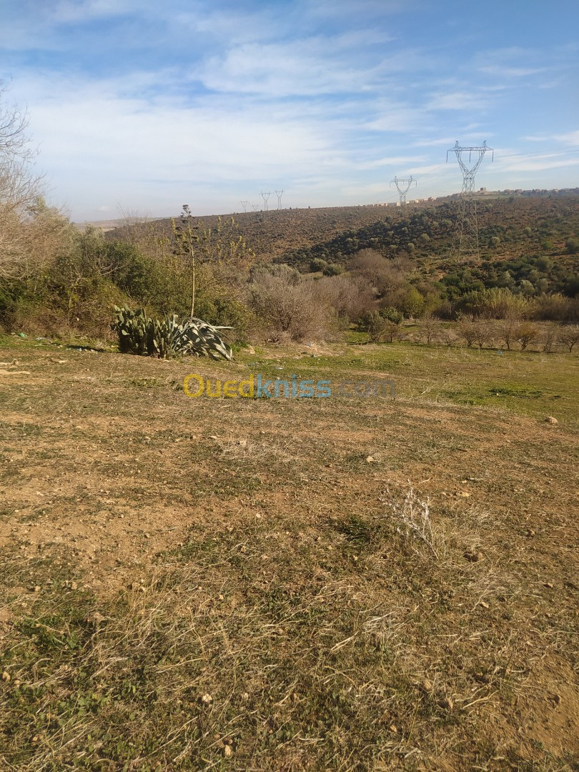 Vente Terrain Tlemcen Chetouane