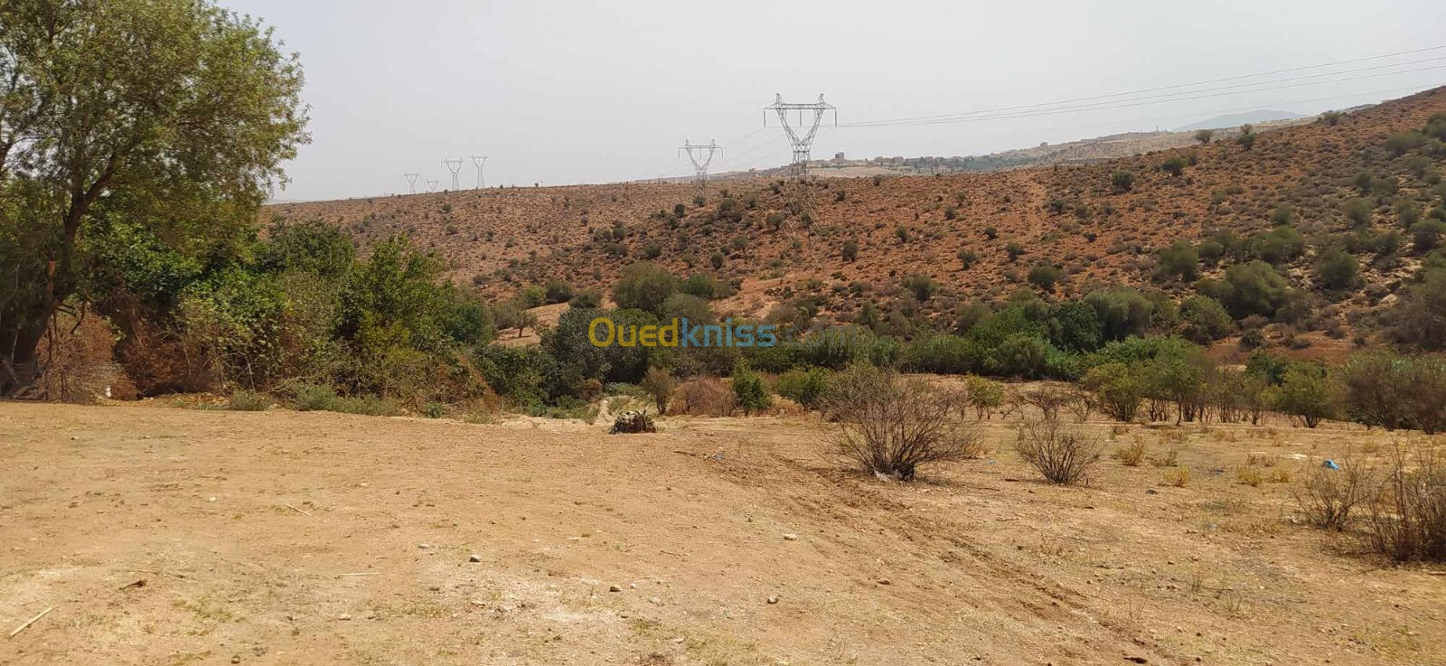 Vente Terrain Agricole Tlemcen Chetouane