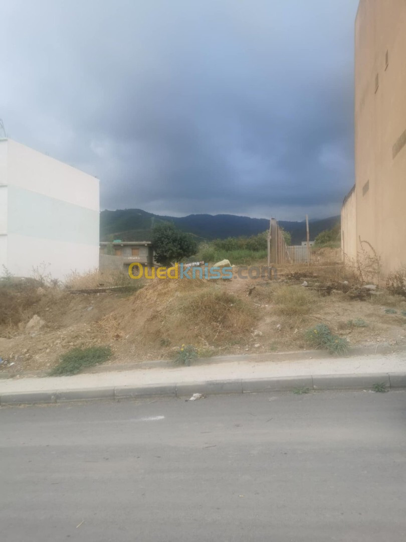 Vente Terrain Blida Bouinan