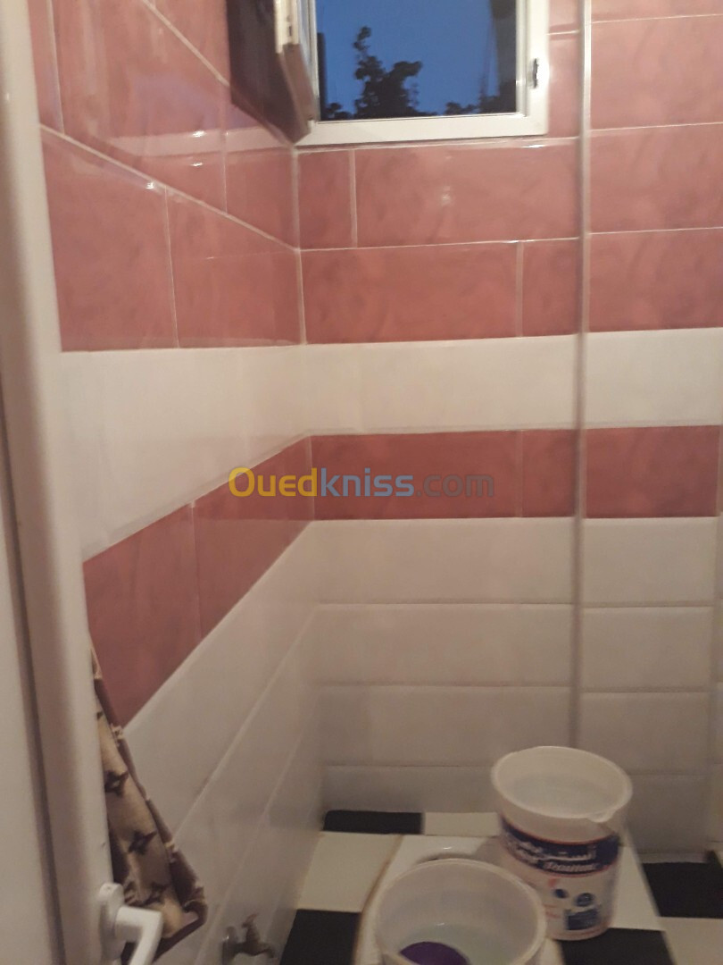 Location Appartement F2 Blida Ouled selama