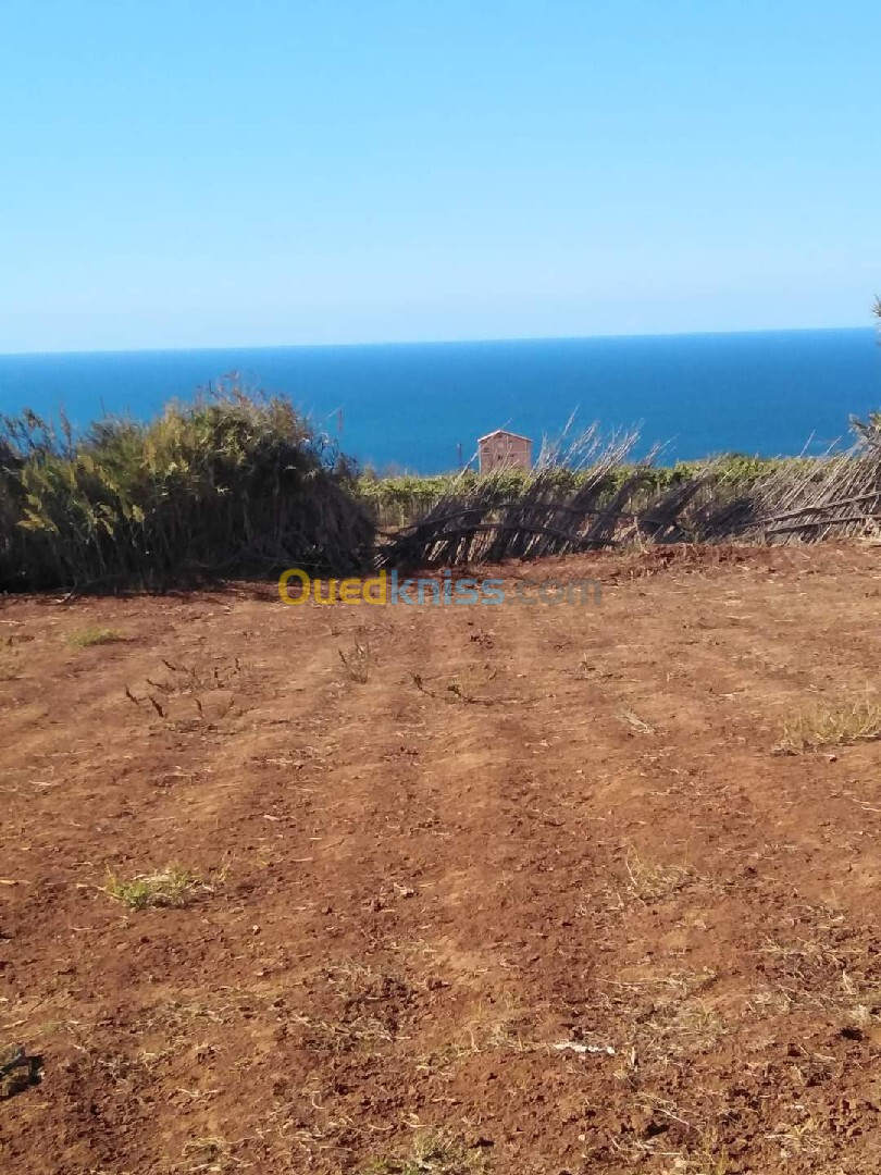 Vente Terrain Tipaza Fouka