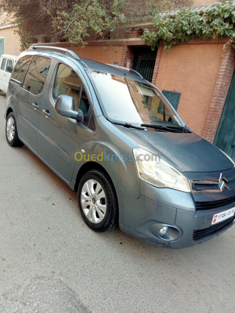 Citroen Berlingo 2010 Berlingo