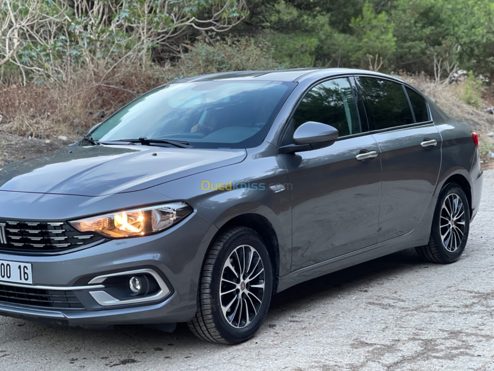 Fiat Tipo 2024 Urban plus