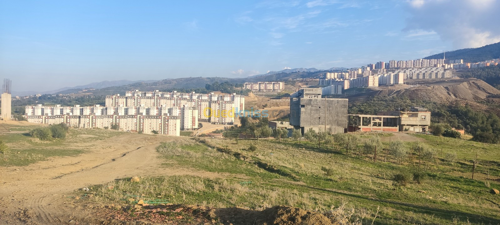 Vente Terrain Blida Bouinan